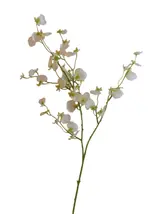 Silk 90*20*4CM Dancing Orchid - White - Wholesale Artificial Flowers | EB0326011#1 thumbnail 1