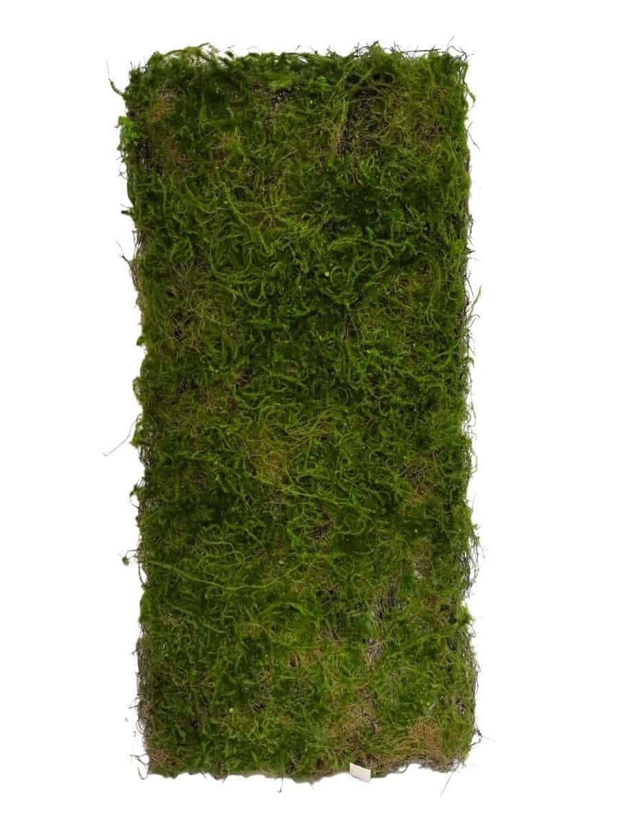Artificial moss wall panel for commercial green wall installation - 50x50cm dense texture