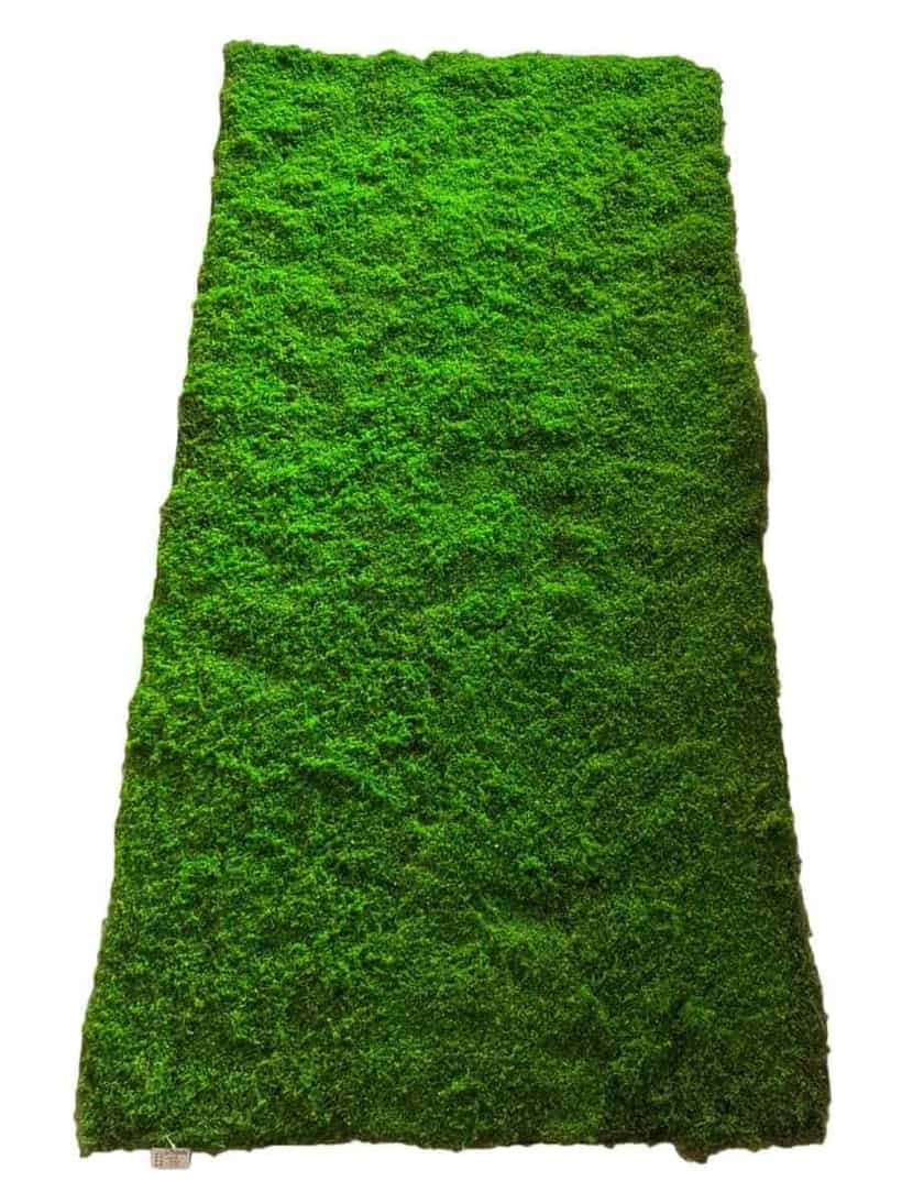 Bulk artificial moss panels for contractors and wholesale buyers - 200x100cm