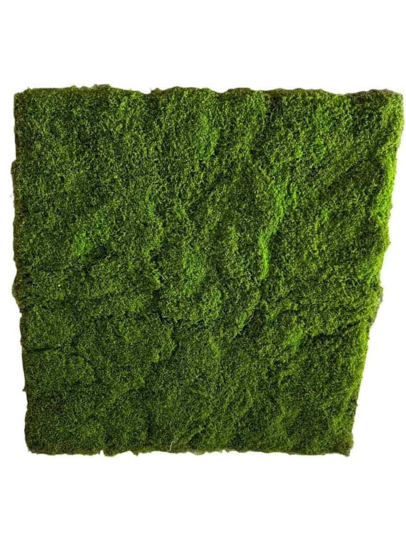 Artificial Moss Turf Panel - Lush Dense Texture - Green Wall & Display Backdrops - 100x100cm by Everbloom Florals