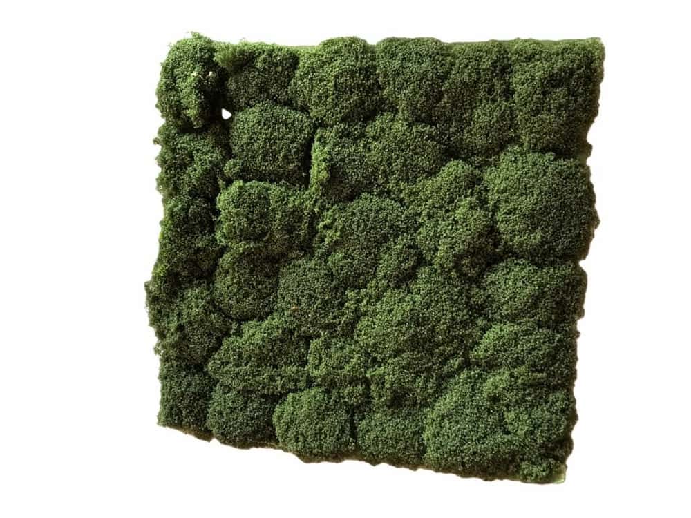 Artificial Moss Turf Panel - Lush Dense Texture - Green Wall & Display Backdrops - 50x50cm by Everbloom Florals