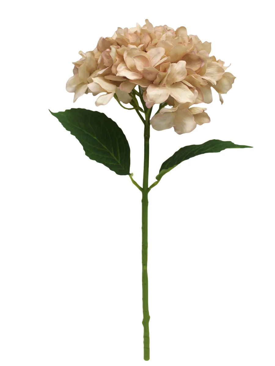 Real Touch Artificial Floral Stem - 18.50" thumbnail 7
